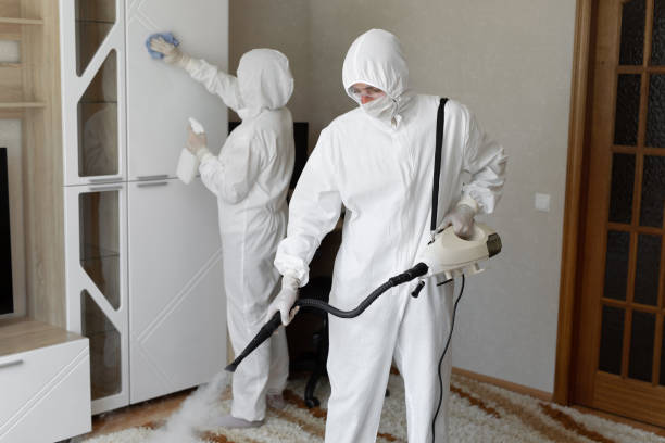 Best Attic Mold Remediation in Jersey City, NJ