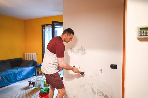 Best Health and Safety Mold Remediation in Jersey City, NJ